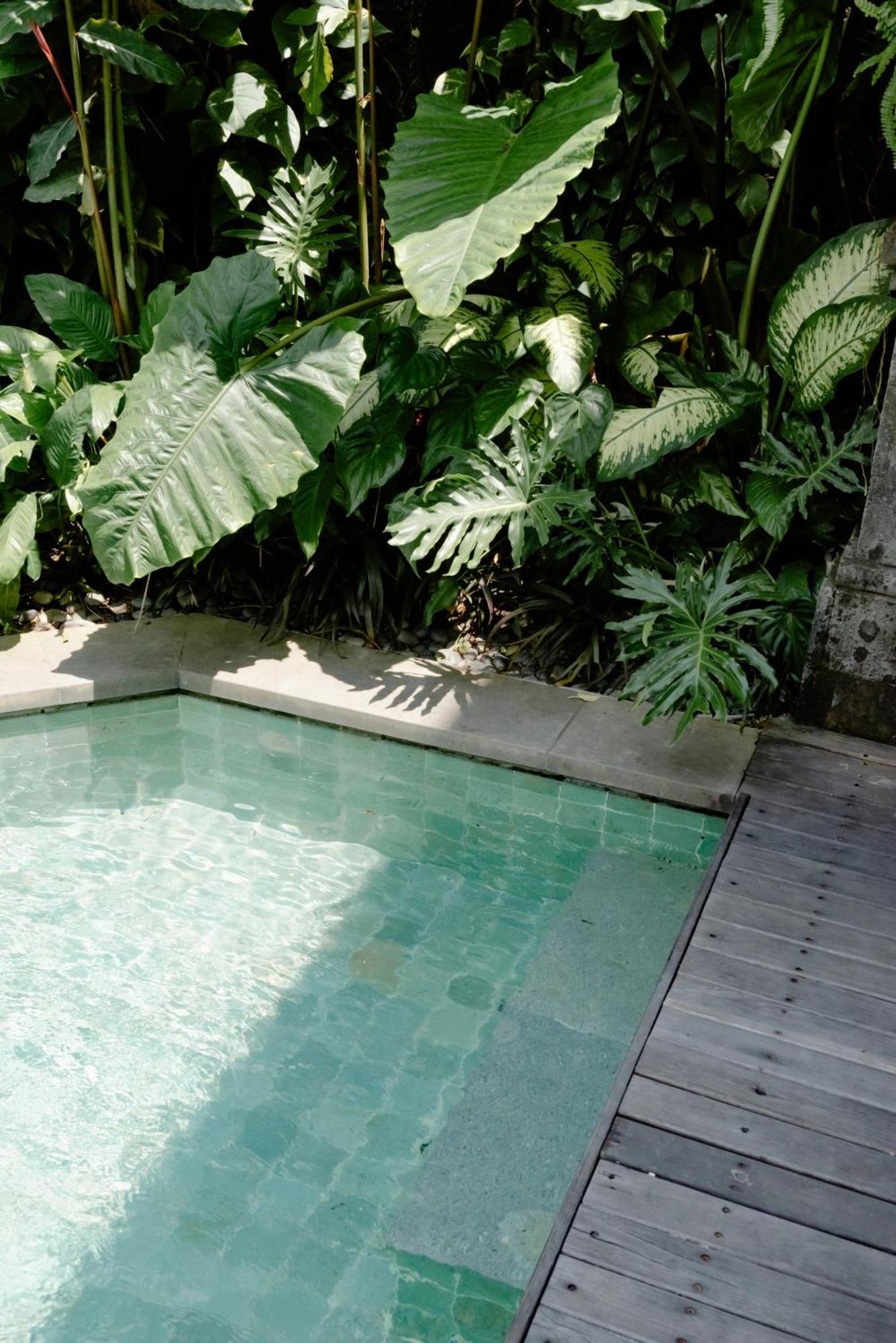 Artotel Haniman Ubud Zewnętrze zdjęcie